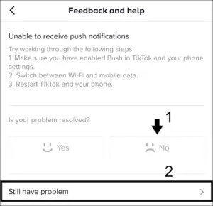 report-tiktok-support3