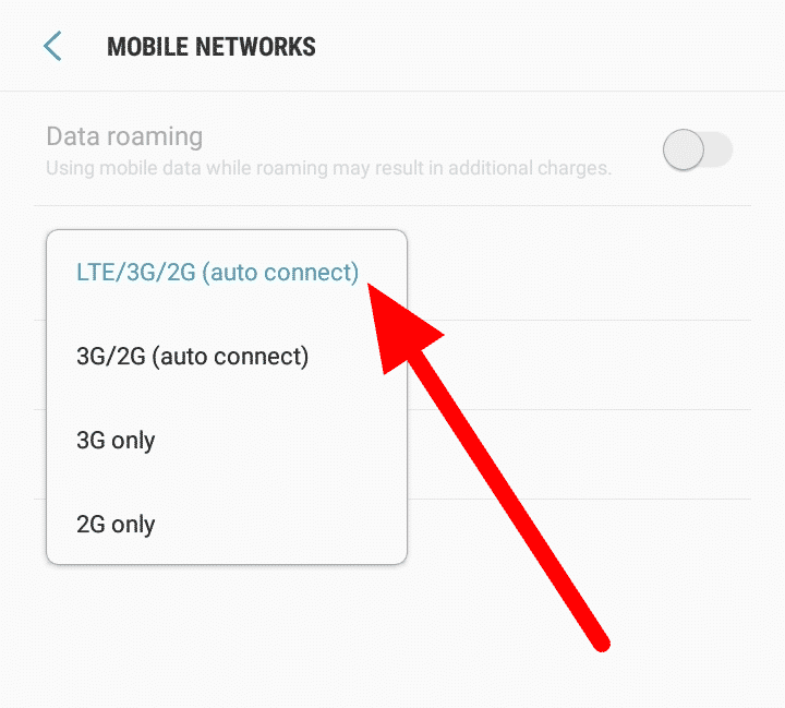 select-network-mode-auto1