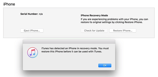 run-iphone-in-recovery-mode